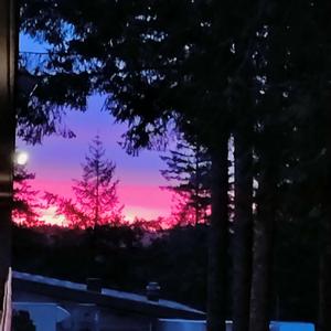 a happy song (feat. Gxlo)