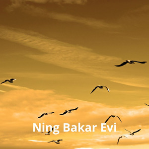 Balkol Cliffborn Champion