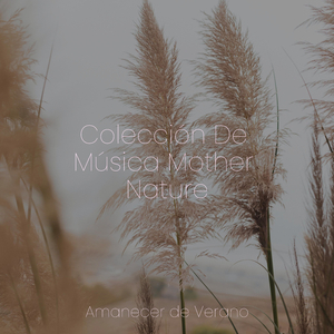 El Borde Encantado del Infinito