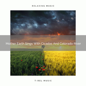 Ocean With Birds, Water And Animals Noises