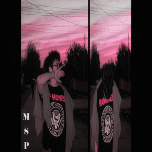 msp