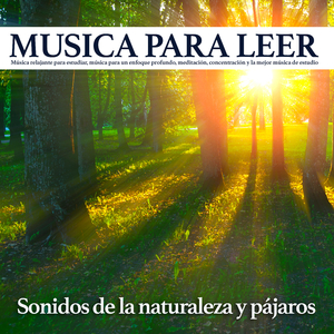 Musica para leer