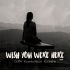 Gudi - Wish You Were Here (Remix)