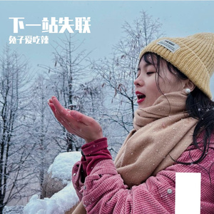 下一站失联
