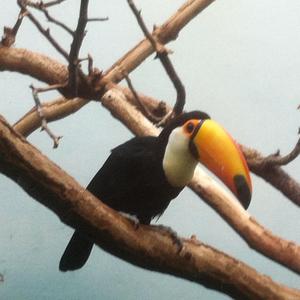 Favourite Misbehaving