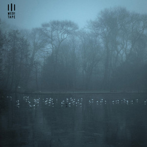 Probity