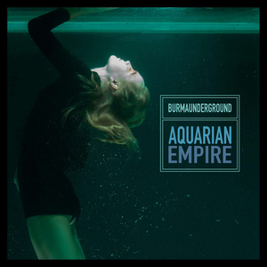 Unexplained Aerial Phenomenon