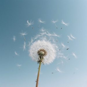 辜负的爱已不在