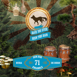 Have You Ever Seen The Rain