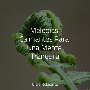 Deslizamientos De Hielo