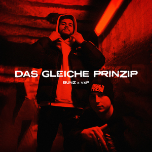 Das gleiche Prinzip