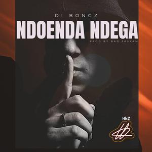 Ndoenda ndega