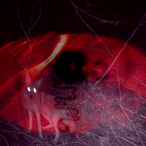 Coyote’s Song (Sara Persico Rework)