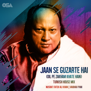 Jaan Se Guzarte Hai (Turkish House Mix / Dil Pe Zakham Khate Hain)