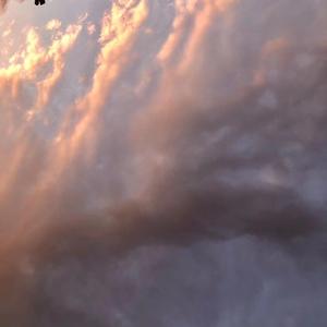 How to love(钢琴间奏)