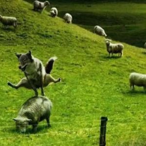 舜势（Prod by Red Killer）