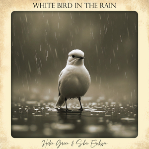 White Bird in the Rain