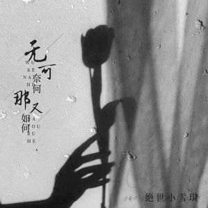 无可奈何那又如何（抖音版）