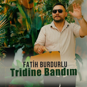 Tridine Bandım