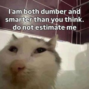 so high school (slowed)