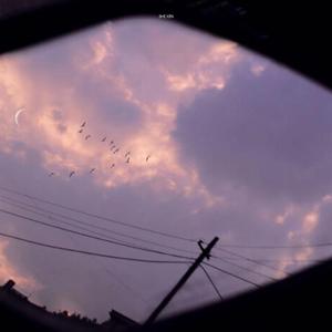 白月光与朱砂痣