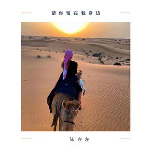 我不是你的第一首选