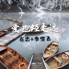 爱你魔力转圈圈 (DJ版)