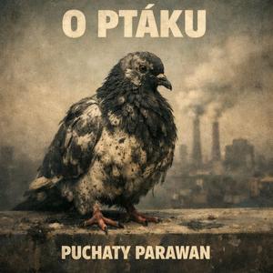 O ptáku