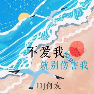 杨顺高、凯小晴 - 不爱我就别伤害我（DJ何友版）