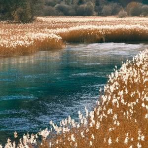 能不能答应我再结一次婚吧