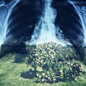 emas poios mas thelei stin gi