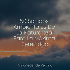 Sinfonía de la Pradera Infinita