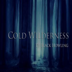 Cold Wilderness