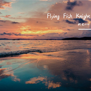 小飞鱼骑士Flying Fish Knight|Sad X Emo Type Beat