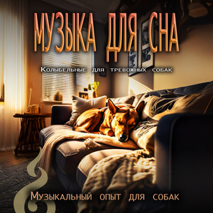 Музыка спящей собаки