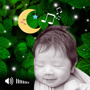 Acalmar Bebê com esse Som Relaxante