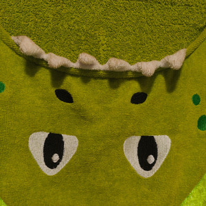 பகவதியின்