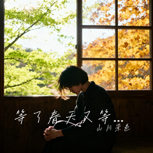 等了春天又等秋天