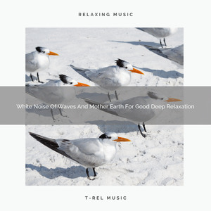 Beautiful Noises Of Weather And Animals For Instant Sleep