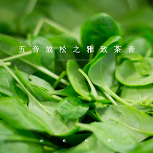 暖茶 (优美轻音乐)