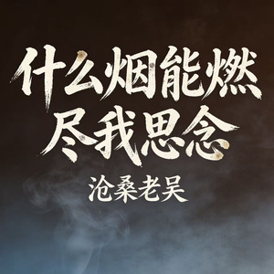 什么烟能燃尽我思念