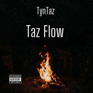Taz Flow 2