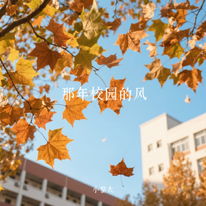 那年校园的风