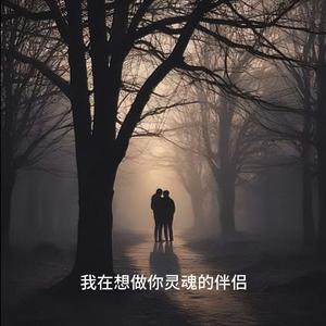 我的爱只为你存在