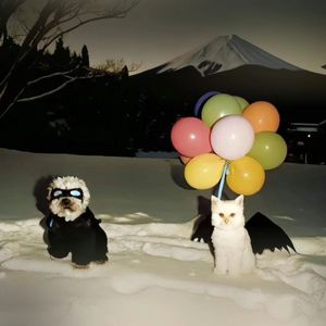 最后对你的思念