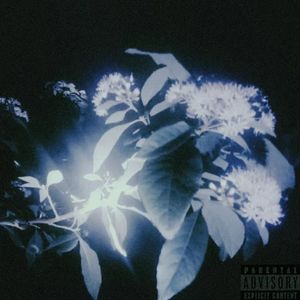 【FREE】夏沫Pluggnb Type Beat