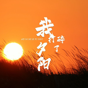 我打碎了夕阳 (伴奏)