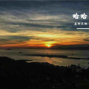 出租车上的伞之漂泊梦影