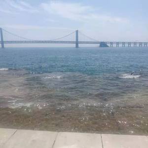 古今-仙乎仙乎（古今 remix）