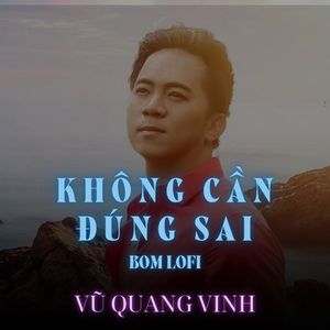 Không Cần Đúng Sai (Bom Lofi)